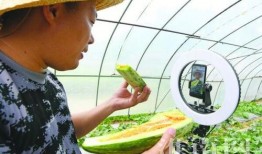 小乔吃瓜娱乐卖切糕,揭秘切糕背后的故事